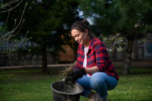 Huzurlu ve çalışkan bir kadın bahçıvanın portresi. Bölgeyi temizlerken biçilmiş çimenleri kovaya koyuyor.