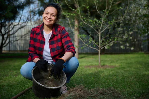Güzel, orta yaşlı kadın bahçıvan, ev hanımı, gübreyi daha iyi hazırlamak için biçilmiş çimenleri kovaya koyuyor.
