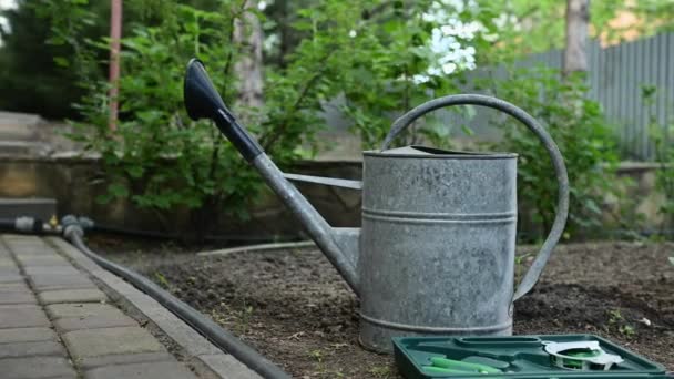 Sanfter Fokus Auf Eine Alte Metall Gießkanne Bio Gemüsegarten Gartenwerkzeug — Stockvideo