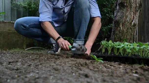 Agricultor Que Usa Una Pala Jardín Cava Suelo Hace Agujero — Vídeo de stock