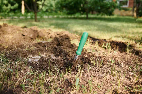 在一个浇灌孔附近松懈的地面上 有一把花园铲子 用来在发芽的幼苗内种植有机蔬菜 种植在生态农业中 耕作和春季园艺概念 — 图库照片