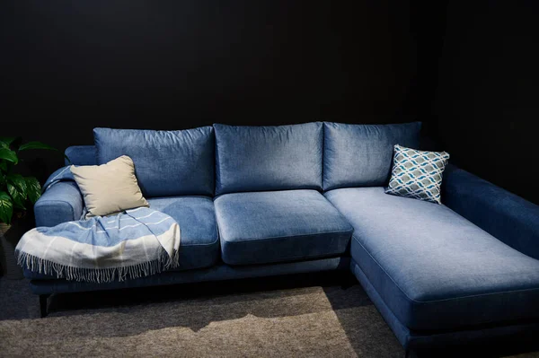 Stylish modern velour blue sofa or sofa bed with cushions displayed for sale in home design studio. Upholstered furniture store, interior design, cosiness concept