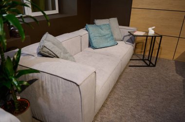 Yastıklı modern minimalist kanepe ve oturma odası dekorlu bir sehpa. Döşeme mobilyası, ev tasarımı konsepti