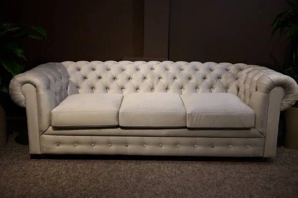 スタイリッシュなモダン アールヌーボー 快適なソファは 家具店内のリビングルームのインテリアのモデルで販売されています ホームデザインコンセプト — ストック写真