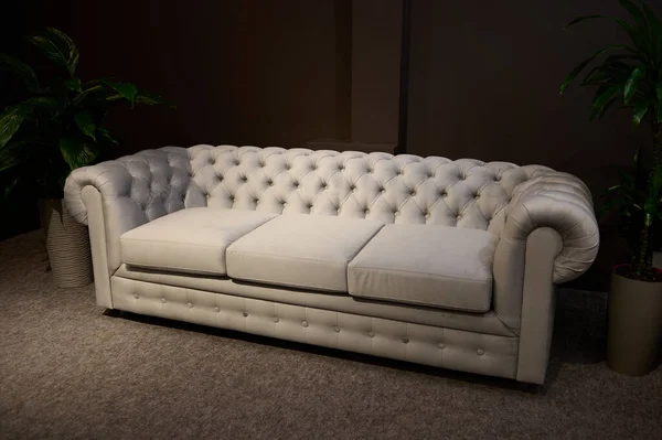 家具店内のリビングルームのインテリアをモデルにしたスタイリッシュな現代的で快適なソファが展示されています ホームデザインコンセプト — ストック写真