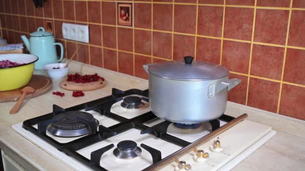 Cropped View Housewife Standing Stove Opening Lid Saucepan Boiling Water — Vídeo de stock