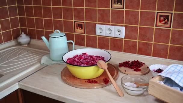 Kitchen Worktop Metal Bowl Full Redcurrant Berries Sprinkled Sugar Blue — Stock Video