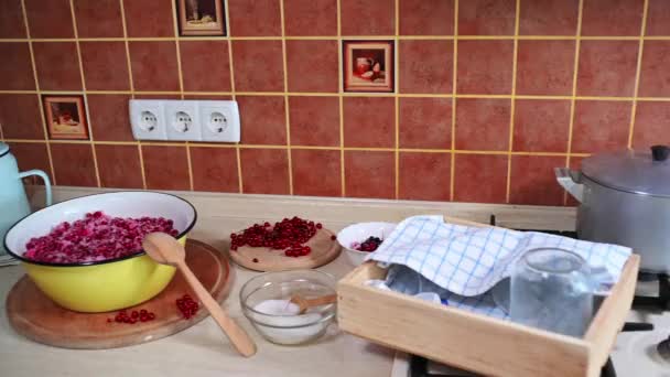 Mutfak Tezgahının Üstünde Kırmızı Üzümlerle Dolu Bir Metal Kase Şeker — Stok video
