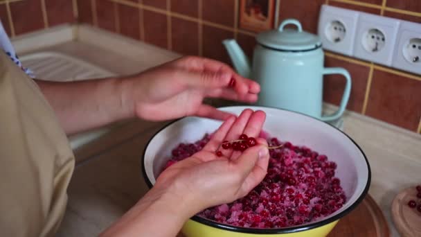 Cropped View Hands Housewife Standing Countertop Sorting Ripe Fresh Red — Stock Video