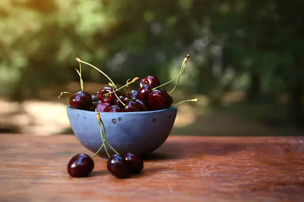 Still Life Composition Fresh Ripe Ready Eat Purple Cherries Blue — Stock Photo, Image