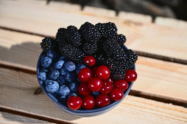 View Fresh Juicy Ripe Seasonal Wild Berries Organic Farm Blueberries — Stock Photo, Image