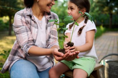 Focus on hands of mother and daughter holding seedlings. Blurred woman smiling to her baby girl gardening together in family eco vegetable garden. To instill love and respect for nature from childhood clipart