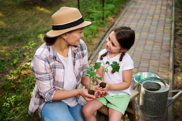 Young mother instilles in her little daughter love and care for nature. Mom and toddler hold seedlings in soil on their hands, sitting on wooden stool, enjoying gardening together in a family eco farm