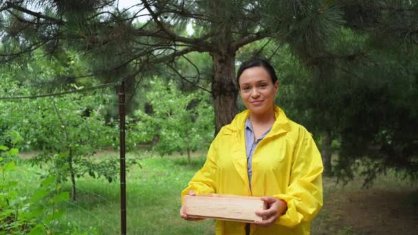 Charming African American Woman Wearing Yellow Raincoat Successful Gardener Agriculturist — ストック動画