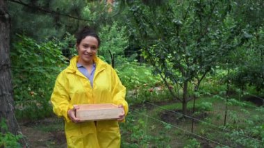 Pleasant middle-aged woman farmer, wearing a yellow raincoat, carrying a wooden crate for harvesting, looking around herself , inspecting plantation, enjoying gardening, smiling looking at camera