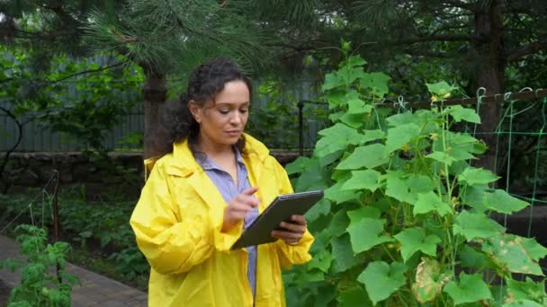 Confident Experienced Female Agriculturist Gardener Wearing Yellow Raincoat Hispanic Woman — Vídeo de Stock