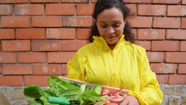 Smiling Middle Aged Woman Gardener Wearing Yellow Raincoat Holding Wooden — Vídeo de Stock