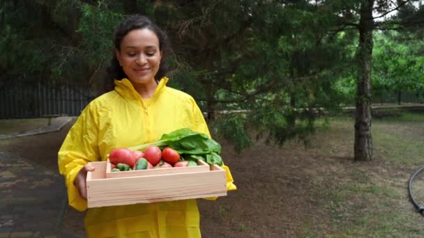 Charming Amateur Farmer Yellow Raincoat Holding Wooden Crate Harvested Crops — Stock videók