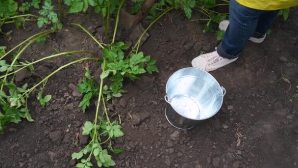 Cropped View Farmer Woman Yellow Raincoat Blue Work Gloves Digging — Stok video