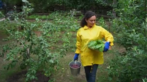 Žena Farmář Žluté Pracovní Uniformě Modré Rukavice Prochází Zahradou Kýblem — Stock video