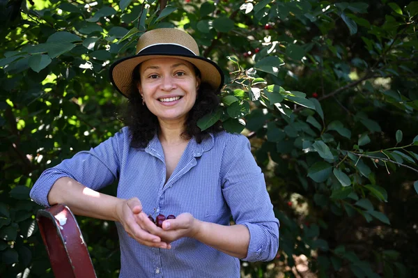 stock image Portrait of a charming woman, farmer in a straw hat, smiles looking at camera and holding a handful of ripe harvested cherries. Summer harvest. Agribusiness. Agriculture. Horticulture. Eco farming