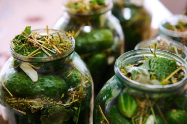 Kış için saklanmış tuzlu salatalıklı, dereotlu ve sarımsaklı salatalık turşusu. Ev yapımı konserve yiyecekler, turşu, turşu, marine edilmiş sebzeler. Geleneksel aile tarifleri