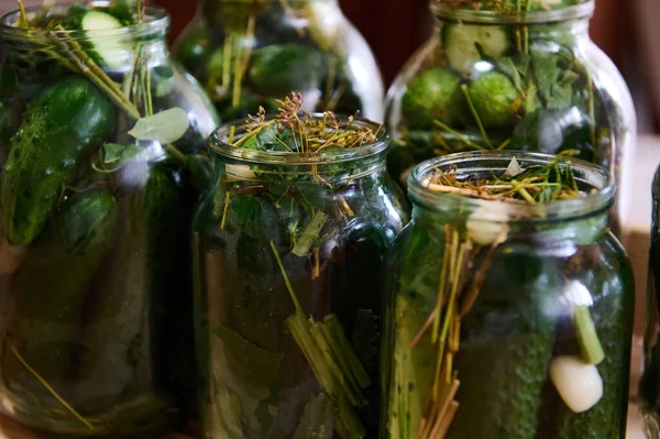 Marinated Cucumbers Preserved Canned Glass Jar Pickled Homemade Gherkins Fresh — Stock Photo, Image