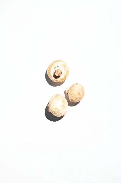 Vertical Studio Shot Edible Raw Mushrooms Champignons Isolated White Background — Stockfoto