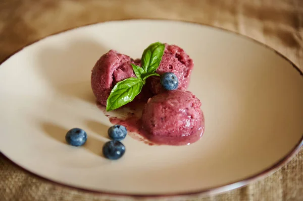Healthy Tasty Homemade Huckleberry Ice Cream Topped Organic Blueberries Green — Photo