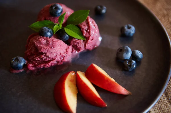 Still Life Healthy Sweet Raw Vegan Dessert Homemade Blueberry Sorbet — Stok Foto