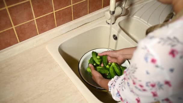 Overhead View Woman Housewife Chefs Apron Carefully Rinses Freshly Picked — Vídeo de stock