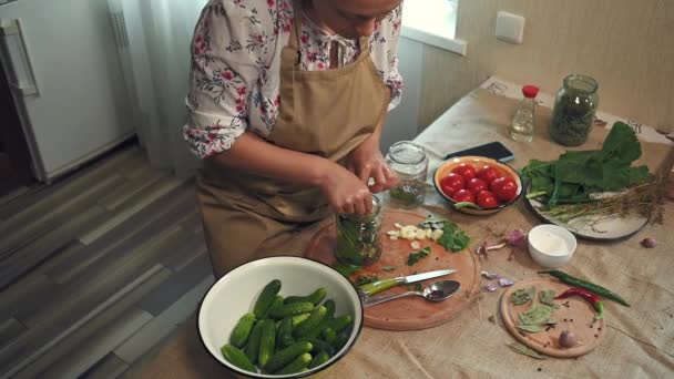 Various Fresh Vegetables Bowl Culinary Herbs Spices Prepared Home Pickling — Stock videók