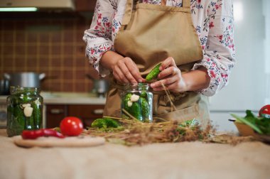 Various fresh vegetables on bowls, prepared for home pickling. Womens hands put cucumbers in a can for canning. Marinating. Preservation of fresh and organic vegetable. Traditional family recipe