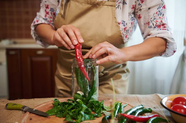 Cropped view of a housewife in a beige kitchen apron, filling sterilized glass jar with spicy chili peppers and fresh chopped fragrant ingredients when pickling seasonal vegetables in the kitchen