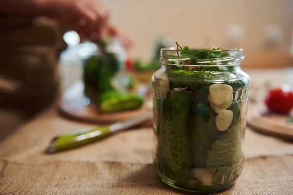 Focus Glass Jar Filled Freshly Pickled Cucumbers Herbs Fresh Garlic — Zdjęcie stockowe