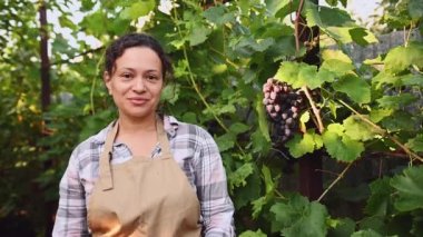 Portrait of multi-ethnic middle-aged woman, vintner amateur, successful experienced viticulturist in a beige apron, smiles looking at camera standing on rows of vineyard in her eco farm. Viticulture