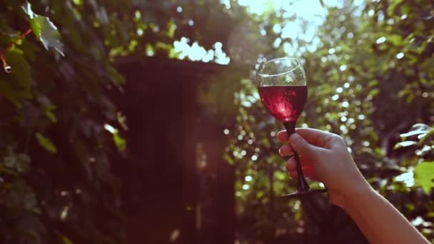 Details Glass Wine Hand Winegrower Winemaker Vintner Looking Glass Red — Vídeo de Stock
