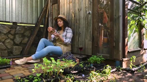 Beautiful Hispanic Woman Viticulturist Tasting Delicious Homemade Wine Sitting Wooden — Stockvideo