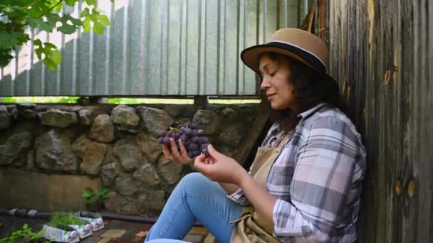 Вид Сбоку Многонациональную Женщину Соломенной Шляпе Дегустирующую Вкусный Свежесобранный Органический — стоковое видео