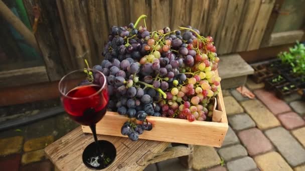 Rotating Shot Glass Red Wine Made Organic Grapes Harvested Eco — Stok Video