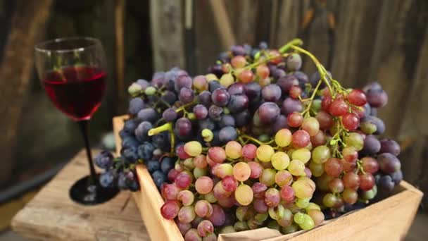 Still Life Focus Wooden Box Organic Grapes Glass Red Wine — Vídeos de Stock