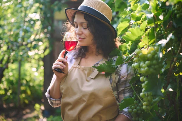 Portrait Female Entrepreneur Winemaker Tasting Homemade Red Wine Rows Vineyards — Fotografia de Stock