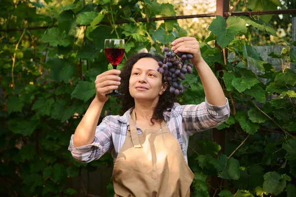 Pleasant Curly Haired Multiethnic Woman Vintner Amateur Beige Apron Successful — Fotografia de Stock