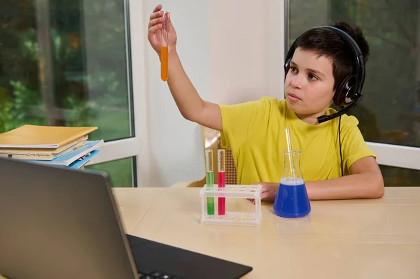 Inspired student of online school, sitting at laptop and conducting a chemical experiment, holds a test tube and observes the chemical reaction. Glass flask and tripod with test tubes on the desktop