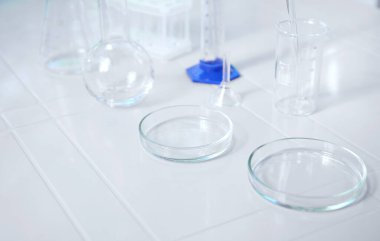 Glass lab dishes on white table on the background of labware such as beaker, flask, graduated cylinders, test tubes. Science chemistry. Scientific biological and chemical laboratory with copy ad space
