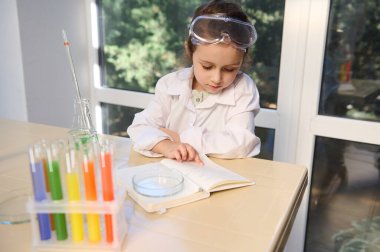 View from above of a smart school child, little Caucasian girl in protective lab wear reading chemistry textbook, sitting at desk with labware and rainbow color chemicals in test tubes on tripod