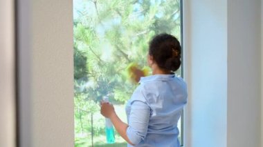 Multi-ethnic maid doing household chores wiping windows, spraying detergent and using scraper removes stains, dust and streaks while keeping house tidy. Housekeeping. Domestic life. Cleaning concept