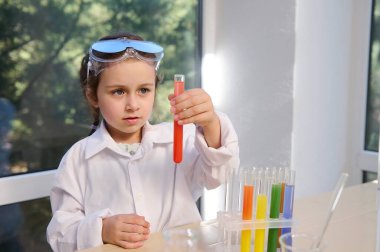 Inquisitive baby girl, preschooler in protective glasses and a white lab coat holds a test tube and watches the chemical reaction taking place in it during a scientific experiment. Learning Chemistry