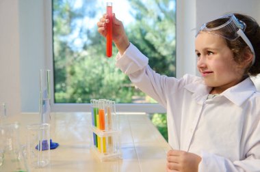 Charming Caucasian schoolgirl, a little chemist, standing at a table with glassware for a chemical laboratory and observing a chemical reaction taking place in a test tube, which she holds in her hand