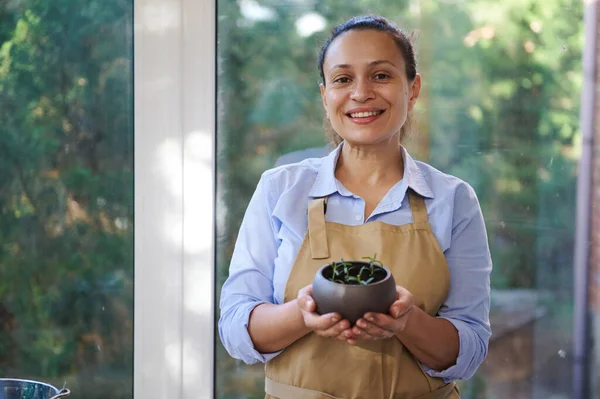 Portrait of African American pretty woman, inspired florist wearing a blue casual shirt and beige apron holding a potted rosemary in her hands and smiling cutely a toothy smile, looking at the camera